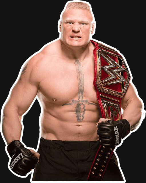 Brock Lesnar Profofessional Career