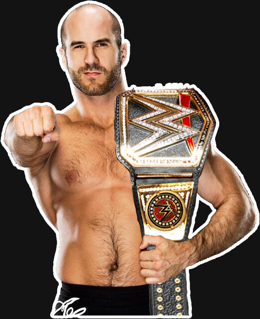 Cesaro Profofessional Career