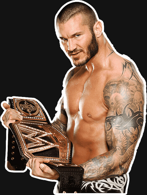 Randy Orton Profofessional Career