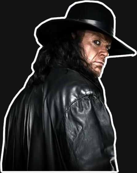 The Undertaker Profofessional Career