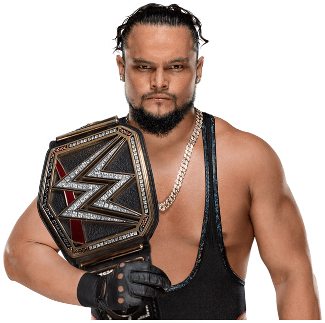 Bo Dallas Profofessional Career