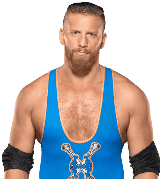 Curt Hawkins Profofessional Career