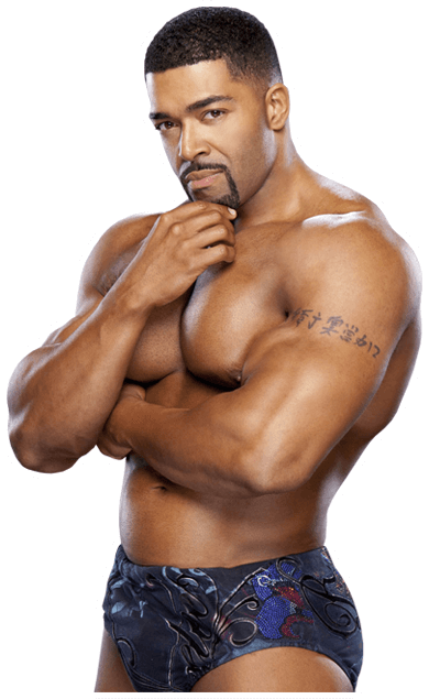 David Otunga Profofessional Career