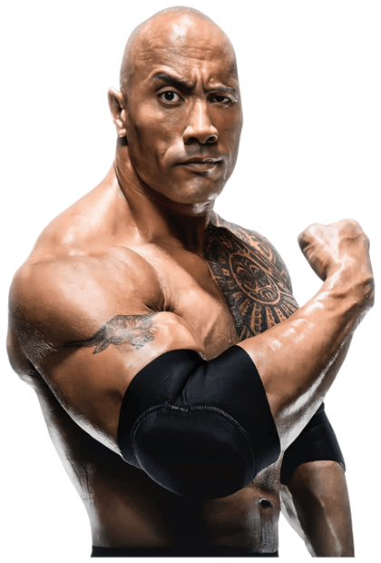 The Rock Profofessional Career