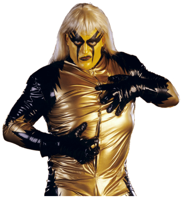 Goldust Profofessional Career