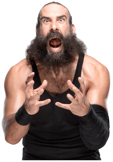 Luke Harper Profofessional Career